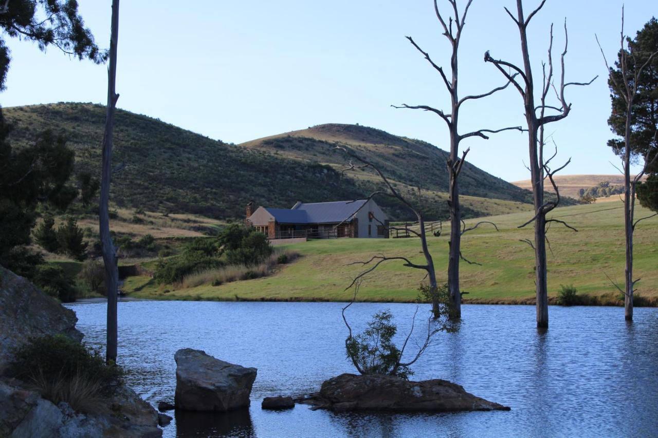 Wetlands Game Lodge Wakkerstroom Luaran gambar