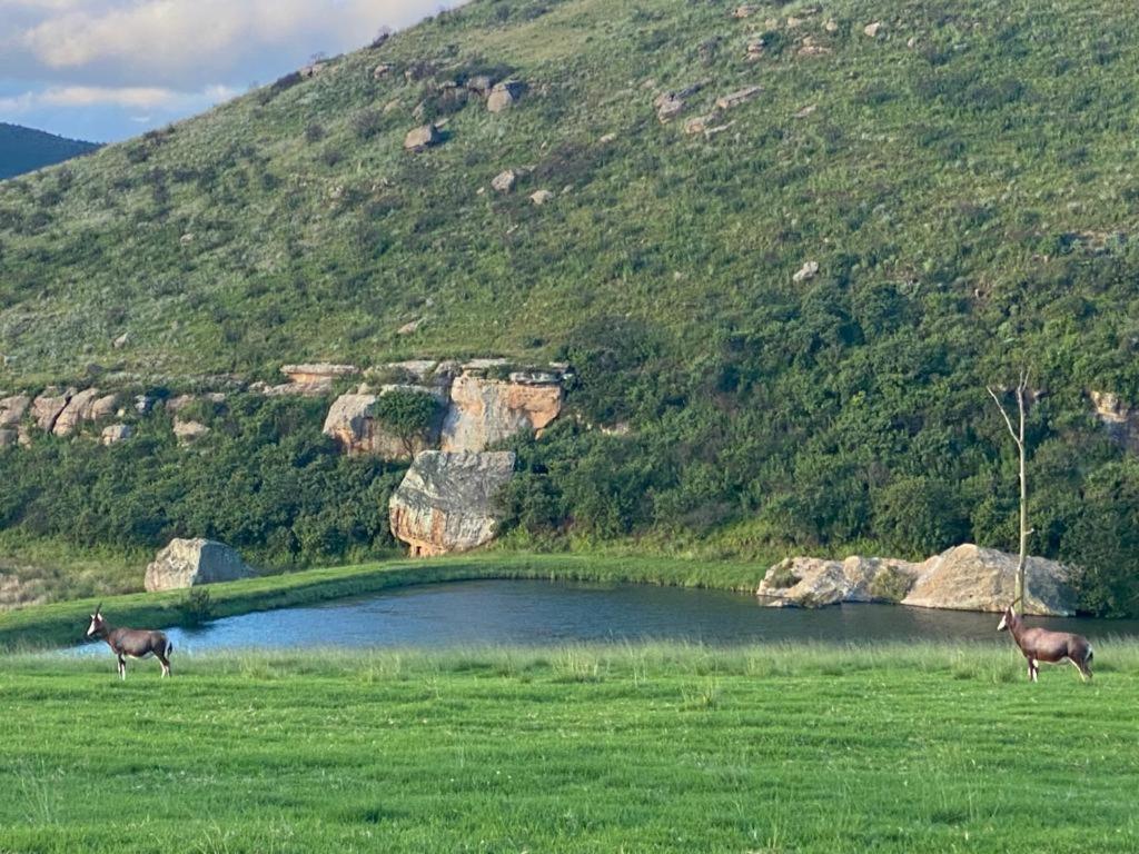 Wetlands Game Lodge Wakkerstroom Luaran gambar
