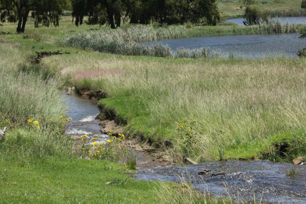 Wetlands Game Lodge Wakkerstroom Luaran gambar