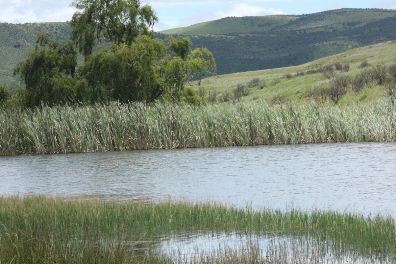 Wetlands Game Lodge Wakkerstroom Luaran gambar